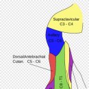연세신통의원 이미지