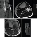 백은헬스크리닉 이미지