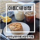 양주다육사랑 | 양주카페 아름다운비행 도라이버 촬영장소 방문 후기