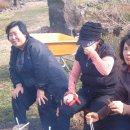 동백팥죽 이미지