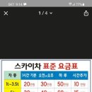 스카이차 사용 네이버블로그
