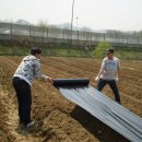 동원농장 이미지