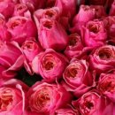 이리농장 이미지