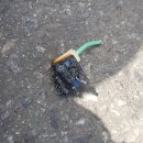 제일카모터스 이미지