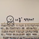 카페놀이터 이미지