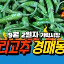 세도청과