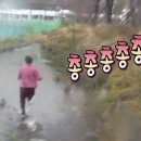 강원도엄나무닭강정