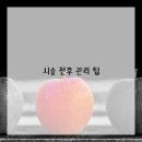 한걸음케어