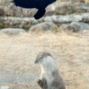 자연드림휴센터 이미지