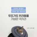 카라동물병원 이미지