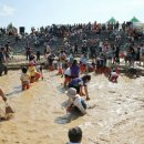 황토갯벌랜드3 이미지