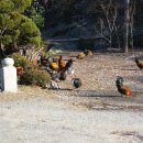 방원가든 이미지