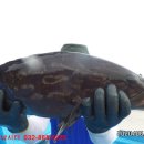 k3바다낚시터 이미지