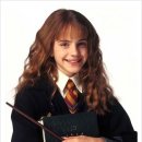 해리애견 이미지