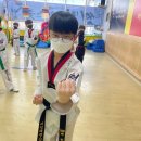 써밋태권스쿨 이미지