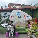 막줄래국시 이미지