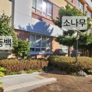 고촌로28번길 10 네이버블로그
