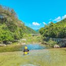 캠프더 포레 이미지