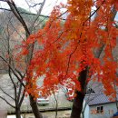 백아산자연휴양림 이미지