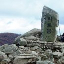 강동-천호-1146 이미지