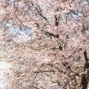 위례성로 이미지