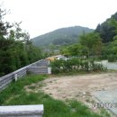 백야자연휴양림 이미지