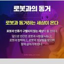 메타사피엔스 티스토리