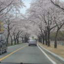 비슬로63길 이미지