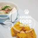 건강한 집밥 만들기 이미지