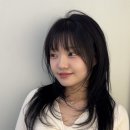 박지연미용실 | [지축역 미용실] 레이어드 컷 전문 펠트 앤코