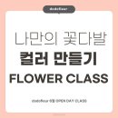 도도플레르 이미지