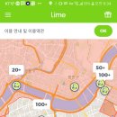 라임 (Lime) 이미지