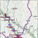 치악산둘레길 9코스 자작나무길 이미지