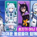 상어PC 이미지