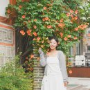 지금 여기 북촌 | 서울 능소화 포토존 추천 북촌 안국 러프씨 스냅 촬영 후기