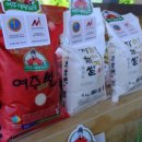 살롱드엘라 네이버블로그