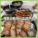 온 가족이 즐기는 「숲속음악소풍」 | 양산 덕계 맛집 [백동소풍가는길 양산점] 아름다운 산속 가족외식하기 좋은 양산 돼지 갈비