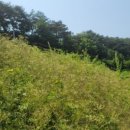 전호농장 이미지