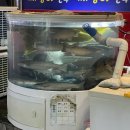 깨댕이친구포차 이미지