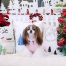 아콩하우스 이미지