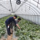 햇뜰농장 이미지