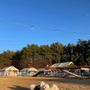 멍글멍글 이미지