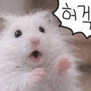 문래공구