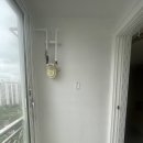 살구골서광·성지·동아·진덕 이미지