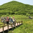 곰배령이야 이미지