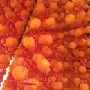 누리는농부 이미지