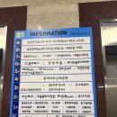 용인동백 골프레슨｜골린이 맞춤 레슨 받은 위너3D골프아카데미 후기