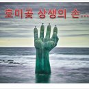 상생의손 이미지