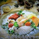 대선참치 이미지