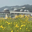 이포보 오토 캠핑장 이미지